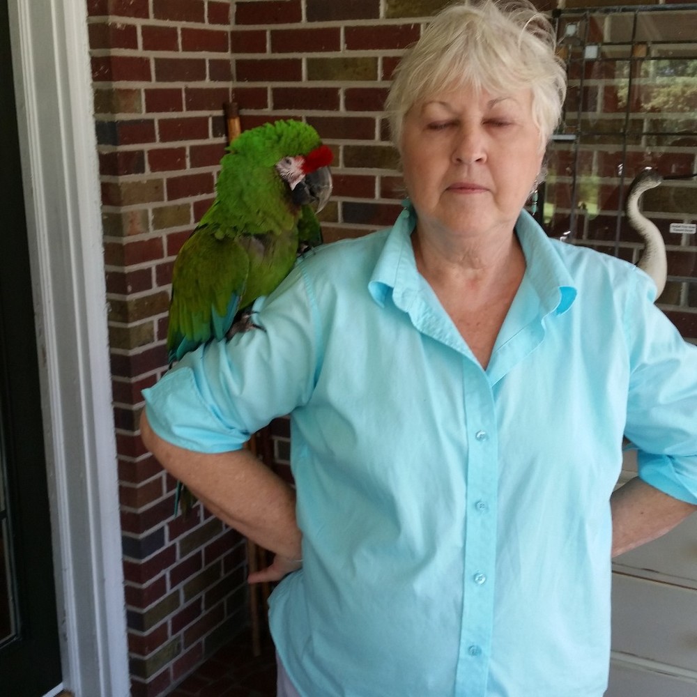 Meet your Posher, Linda